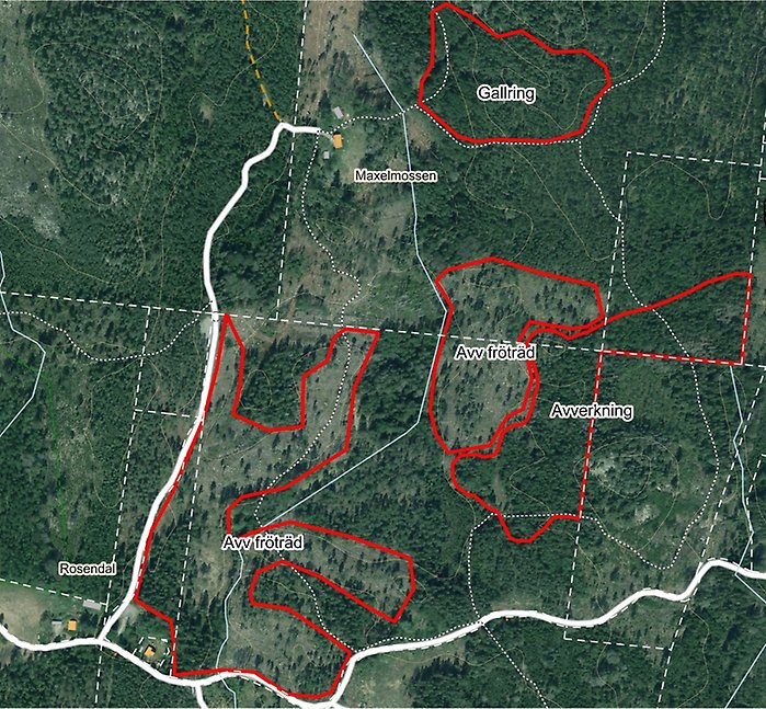 Karta över området på Maxelmossen som skogsavverkning kommer att ske. Det aktuella området är markerat i rött. 