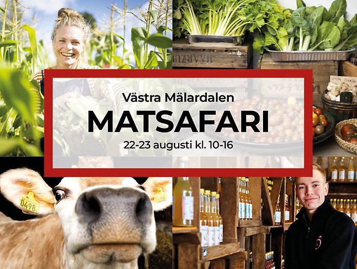 Människor i medeltida dräkter.